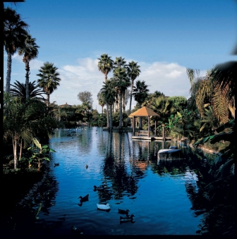 Paradise Point Resort pond Architectural consulting San Diego