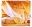 carl myers, carl j. myers, carljmyers, carljmyers.com, architect, interior design, hotels, restaurants, Mosaic, Interior Art